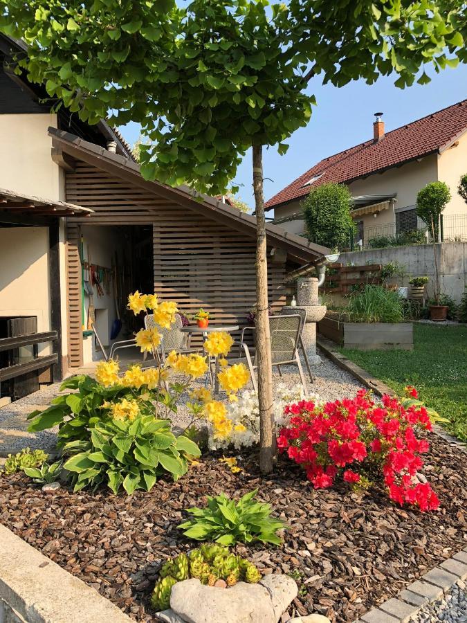 Apartma Nomad Novo Mesto Kültér fotó