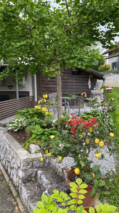 Apartma Nomad Novo Mesto Kültér fotó