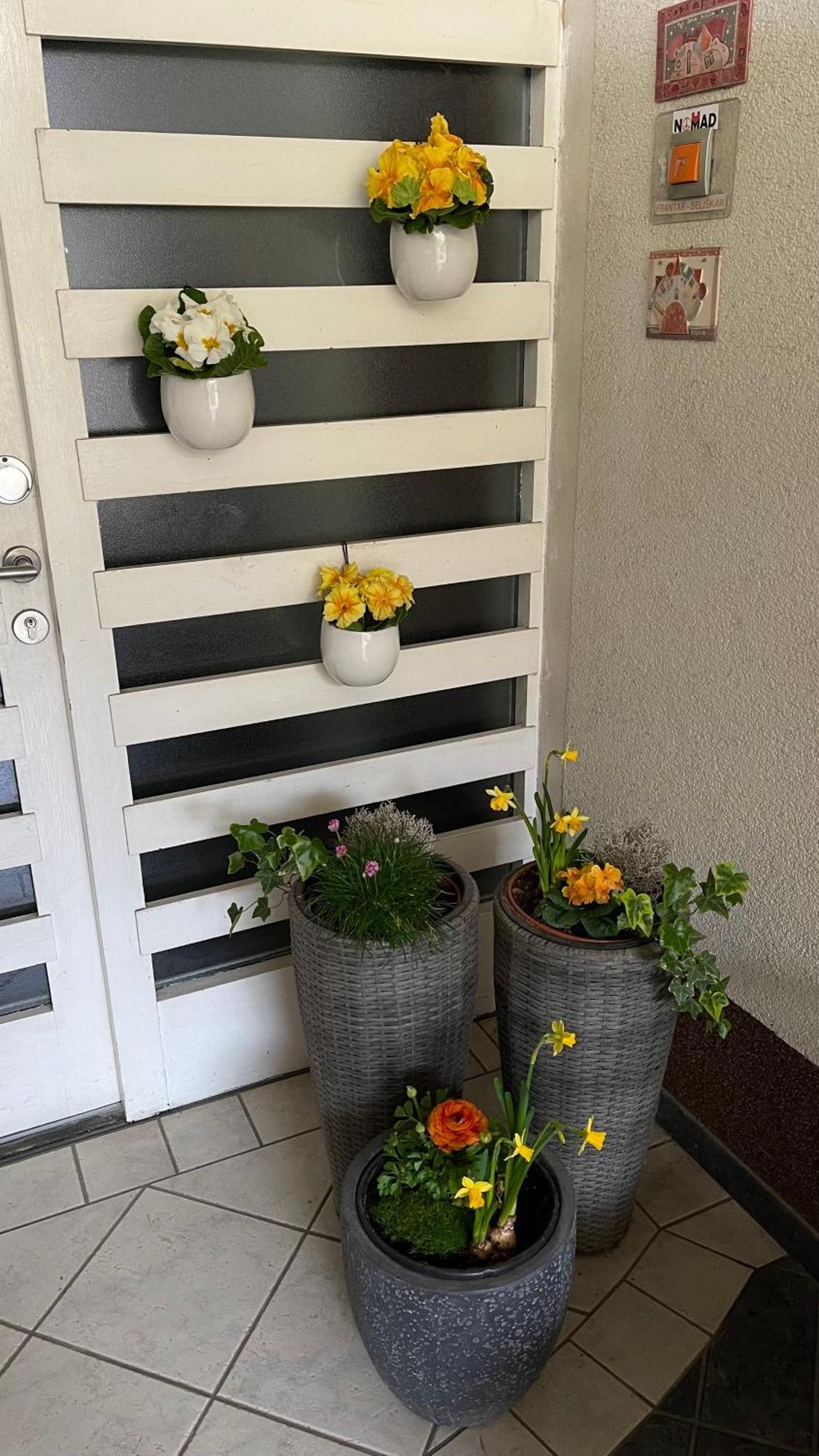 Apartma Nomad Novo Mesto Kültér fotó